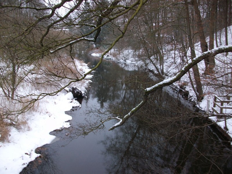 Crosslauf Bergedorf 045
